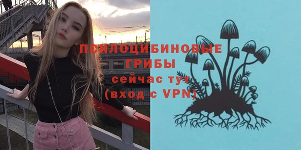 apvp Беломорск