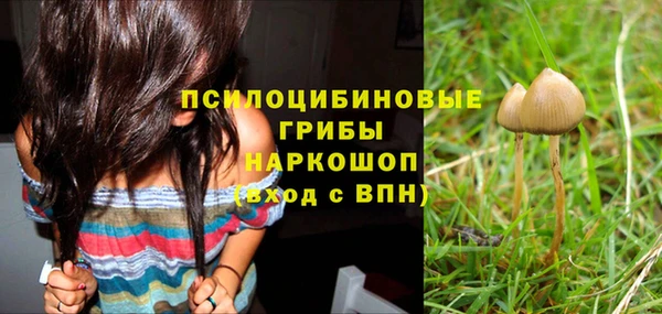 apvp Беломорск