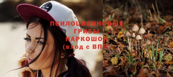 прущий лед Белоозёрский